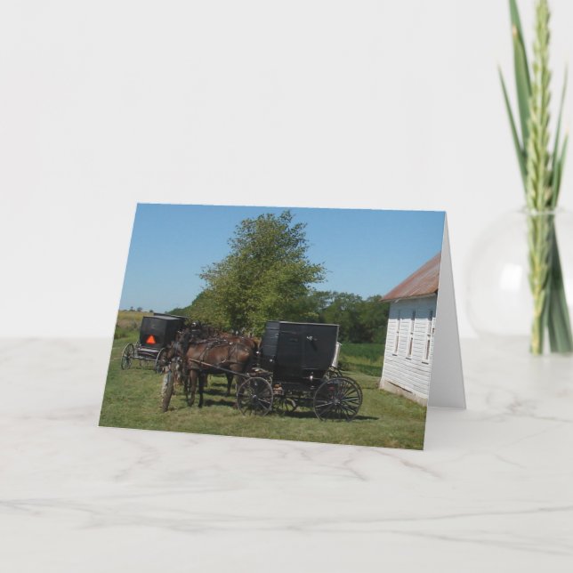 Amish Horses Kort (Framsida)