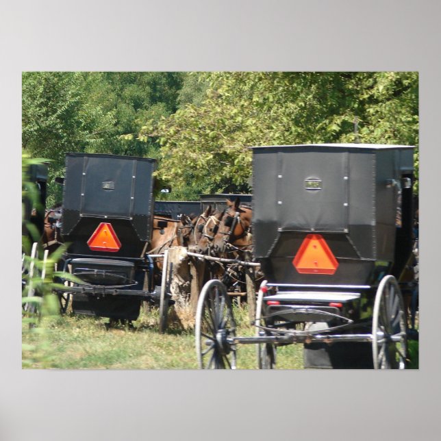 Amish Horses och Buggies Poster (Framsidan)