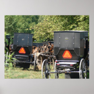 Amish Horses och Buggies Poster