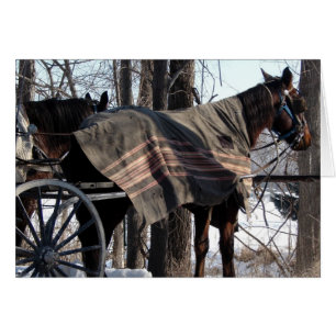 Amish Horses Väntar i vinter Hälsningskort