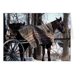 Amish Horses Väntar i vinter Hälsningskort