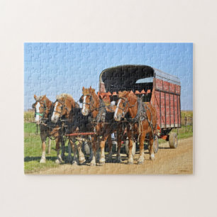 Amish lag av fyra pussel