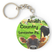 Amish Land Cows! Lancaster