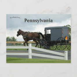 Amish Land i Lancaster Pennsylvania Vykort