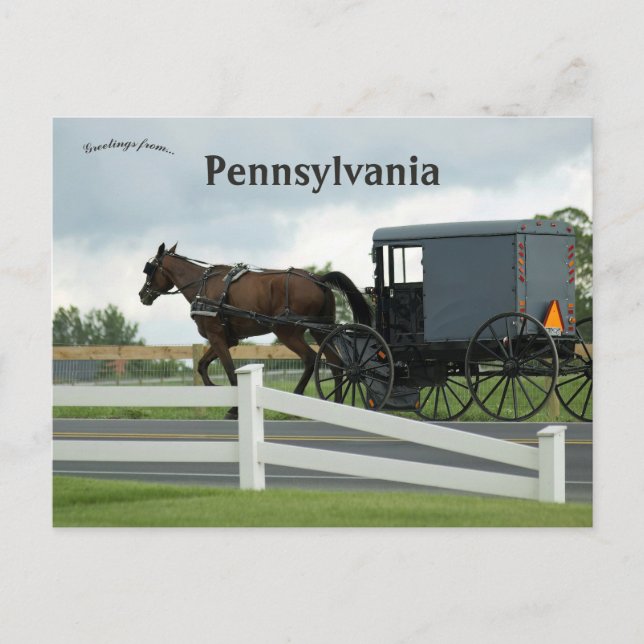 Amish Land i Lancaster Pennsylvania Vykort (Framsida)
