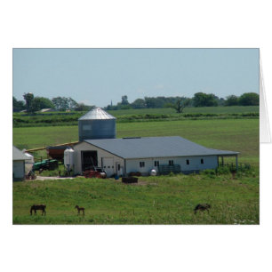 Amish Land Pasture Scene Hälsningskort