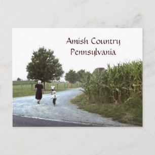 Amish Land Pennsylvania PA Vykort