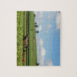 Amish land pussel