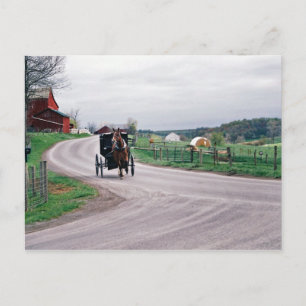 Amish Land Road Vykort