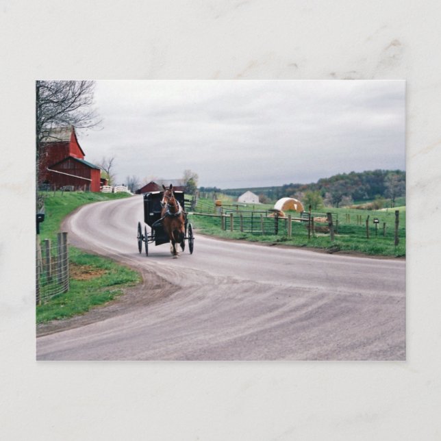 Amish Land Road Vykort (Framsida)