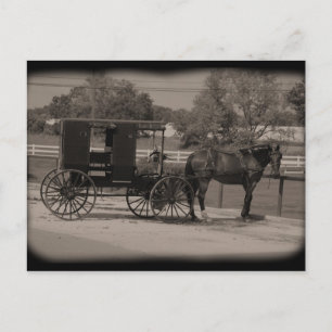 Amish Land Sugarcreek,Ohio Vykort