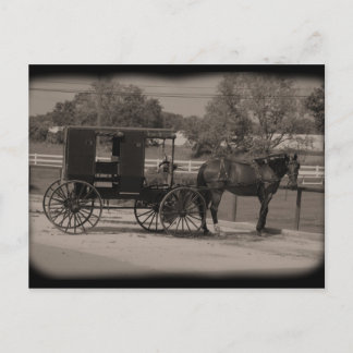 Amish Land Sugarcreek,Ohio Vykort