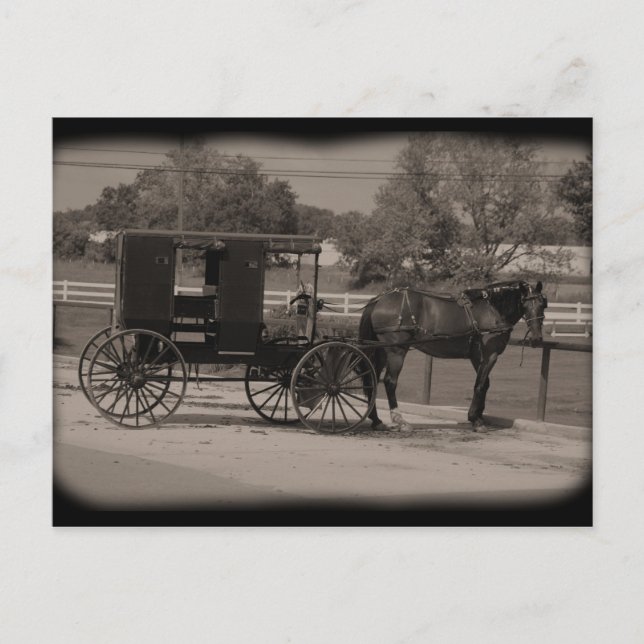 Amish Land Sugarcreek,Ohio Vykort (Framsida)