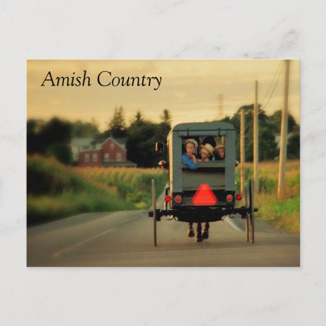 Amish Land vykort (Framsida)