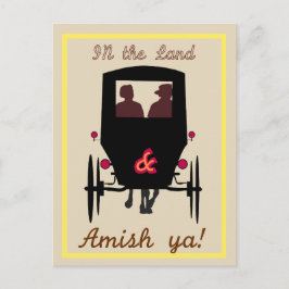 Amish Land Vykort