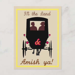 Amish Land Vykort