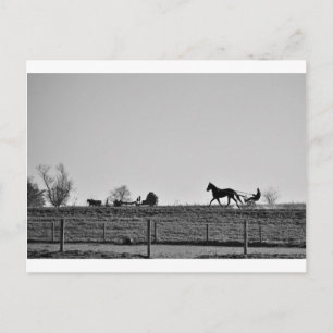 Amish Land Vykort