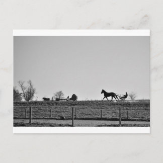 Amish Land Vykort