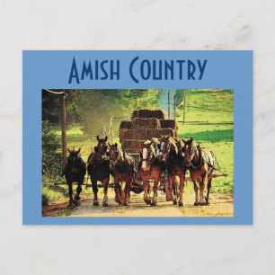 Amish Land vykort - Anpassat