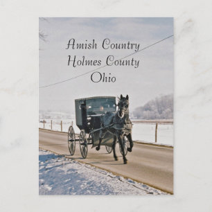 Amish landhäst och Buggy-Vykort Vykort