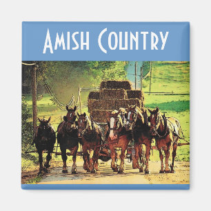 Amish landmagnet magnet