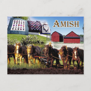 Amish Life i Lancaster, Pennsylvania Vykort