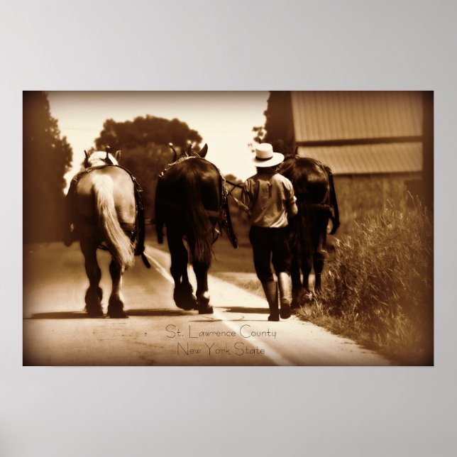 Amish Life Poster (Framsidan)