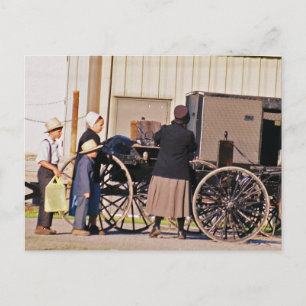 Amish Loading Buggy-vykort Vykort