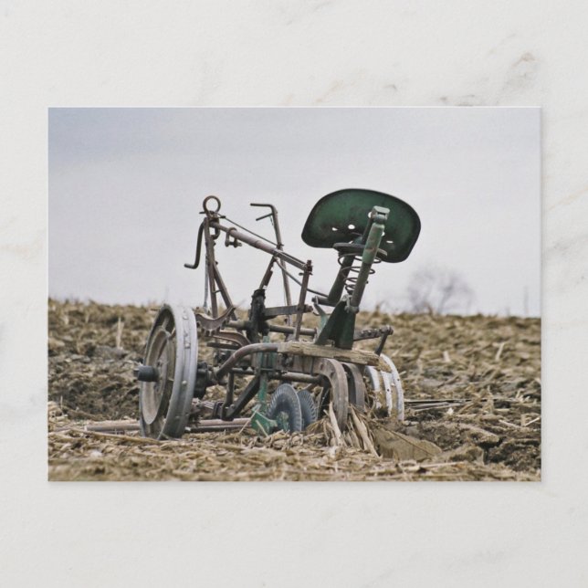 Amish Maj Cutter i Fält-vykort Vykort (Framsida)