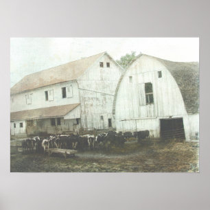 Amish mejeri poster