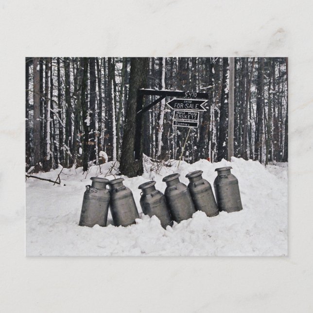 Amish mjölkCans-Vykort Vykort (Framsida)