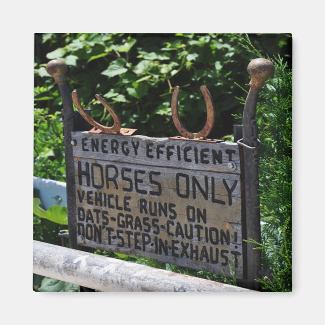 Amish Parking Sign Magnet (Framsidan)