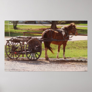 Amish ponnyvagn poster
