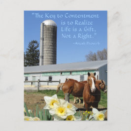 Amish Postcard Life är en gåva. Lägg till texten. Vykort