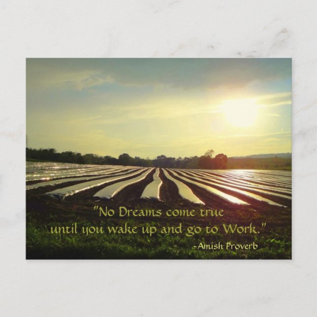 Amish Postcard. Proverb. Drömmar. Arbeta. vykort (Framsida)