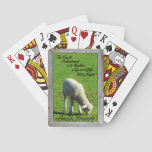 Amish Proverb! Cute Lamb! Amish Farms! Casinokort