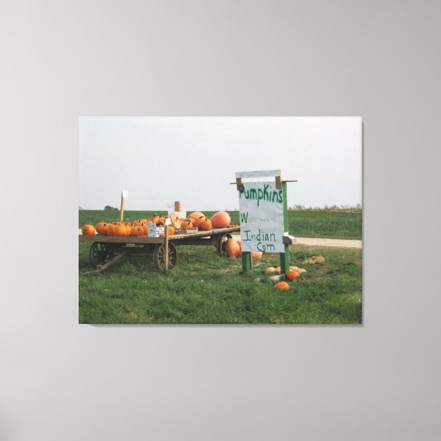 Amish pumpar Patch gård fotografering Väggkonst Canvastryck (Framsida)