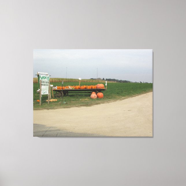 Amish Pumpkin Patch Farm Fotografi Väggkonst Canvastryck (Framsida)