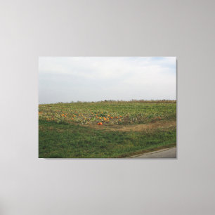 Amish Pumpkin Patch Farm Photography Wall Art Canvastryck