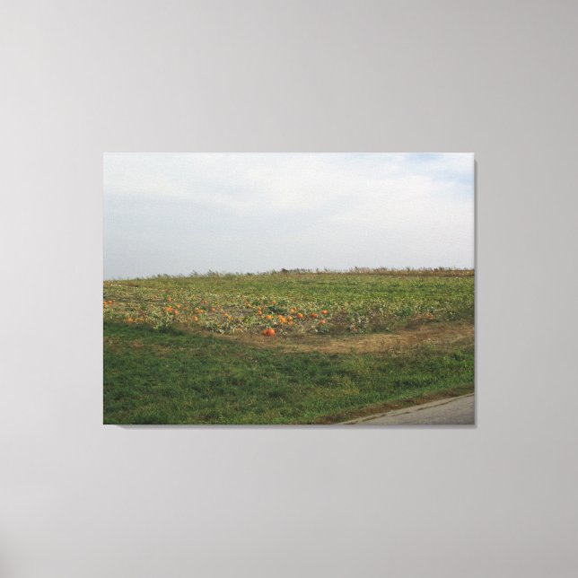 Amish Pumpkin Patch Farm Photography Wall Art Canvastryck (Framsida)