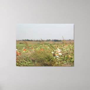 Amish Pumpkin Patch Farm Photography Wall Art Canvastryck