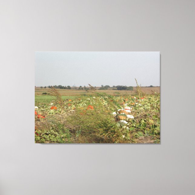 Amish Pumpkin Patch Farm Photography Wall Art Canvastryck (Framsida)