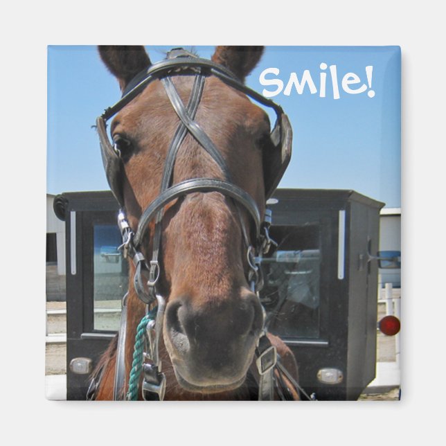 Amish Smile;o) Magnet (Framsidan)