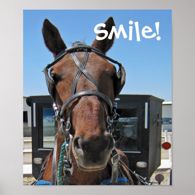 Amish Smile Poster (Framsidan)