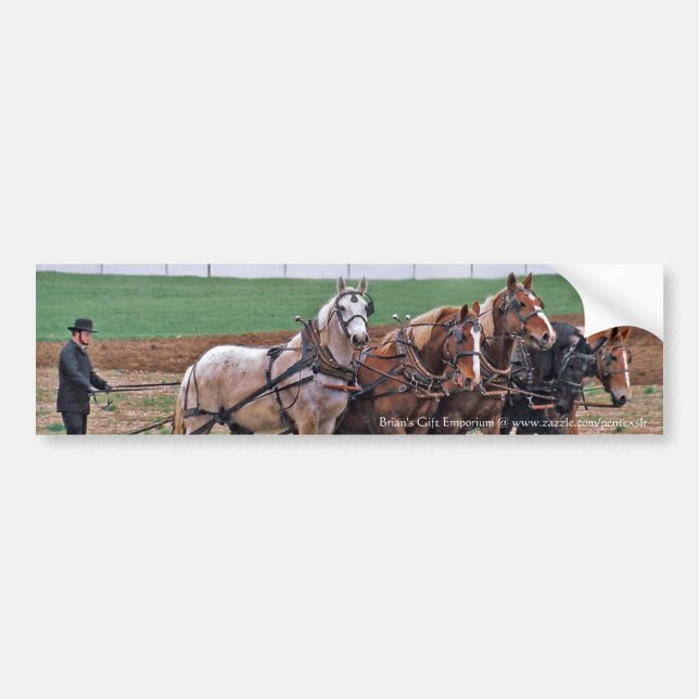 Amish Team Bumper Sticker Bildekal (Framsidan)