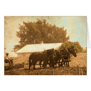 Amish Team Hälsningskort