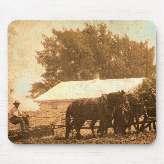 Amish Team Musmatta (Framsidan)