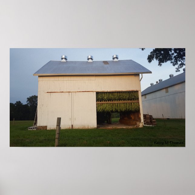 Amish Tobacco Barn/Pennsylvania Poster (Framsidan)