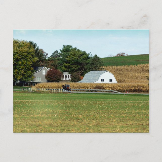 Amish vagn, Holmes County, Ohio Vykort (Framsida)