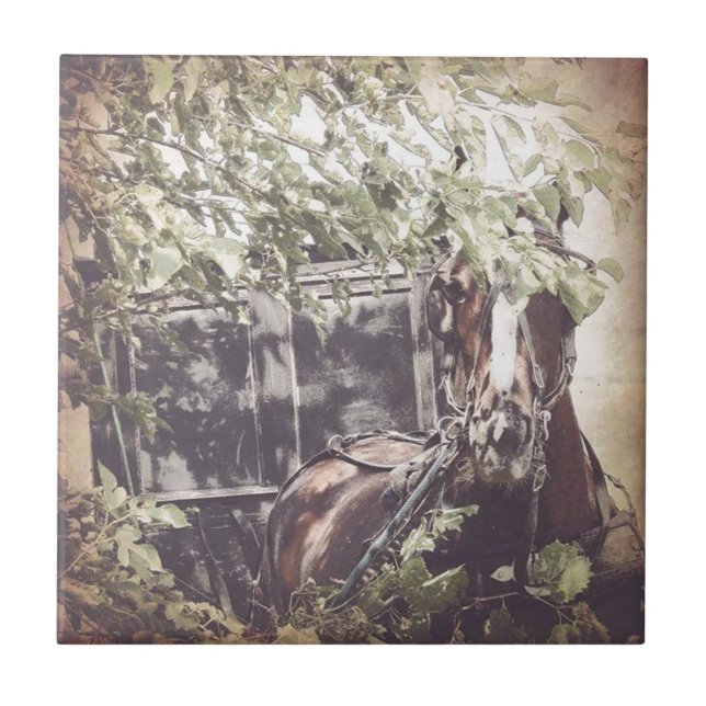 amish Waiting Horse Kakelplatta (Framsidan)